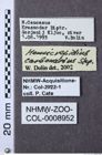 Etiketten zu Hemicrepidius carbonarius (NHMW-ZOO-COL-0008952)